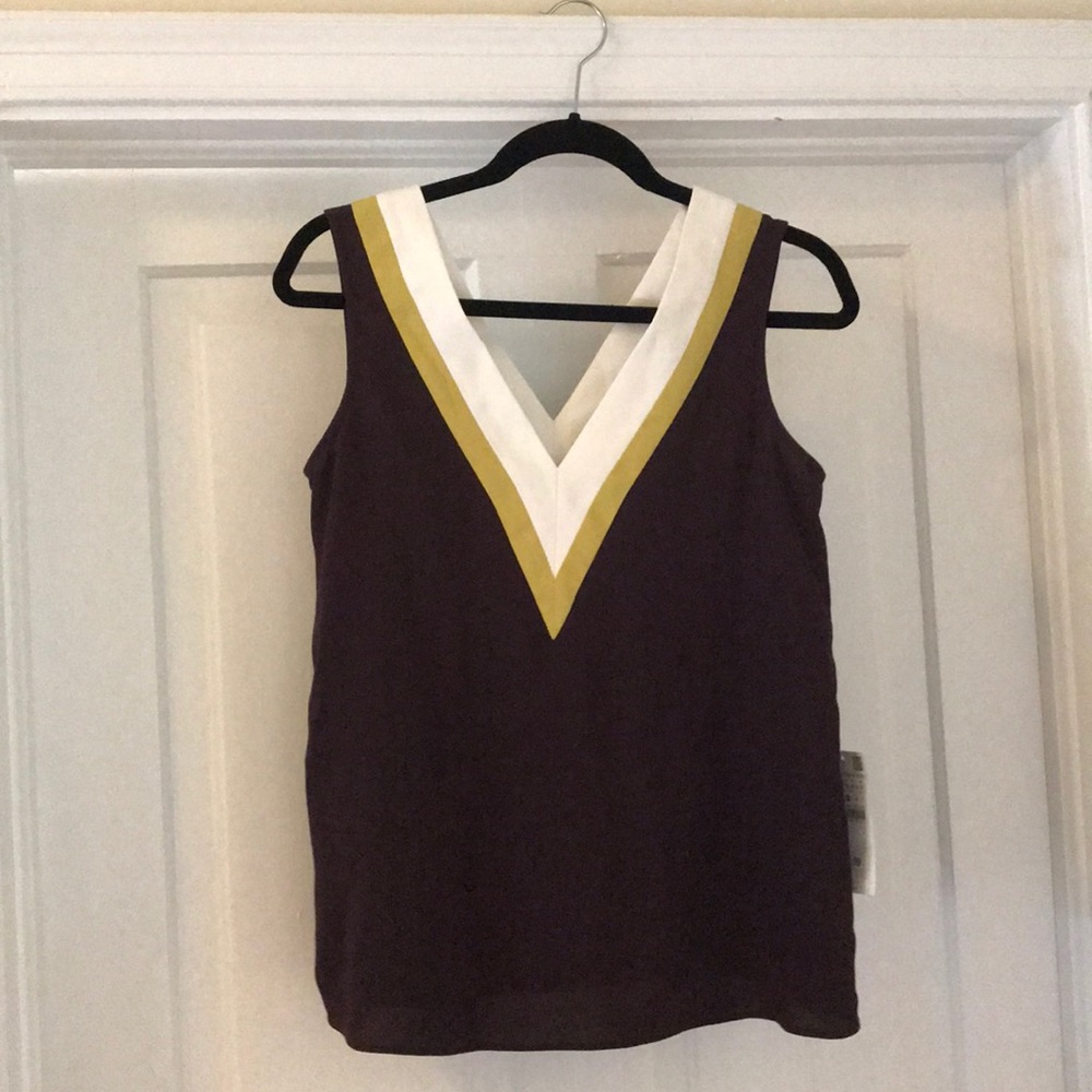 V neck Aubergine Stripe Zara Basic Collection Top